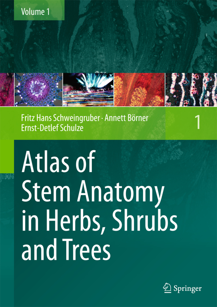 Atlas of Stem Anatomy in Herbs, Shrubs and Trees. Vol.1