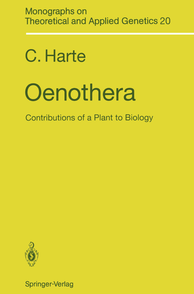 Oenothera