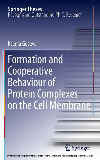Formation and Cooperative Behaviour of Protein Complexes on the Cell Membrane