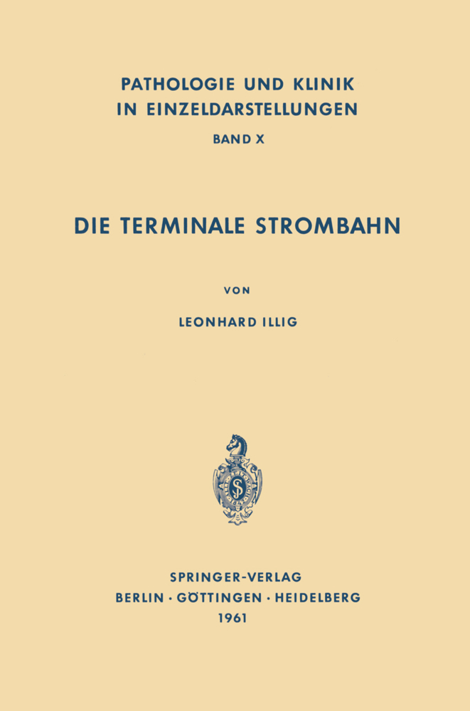 Die Terminale Strombahn