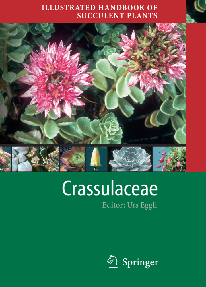 Crassulaceae