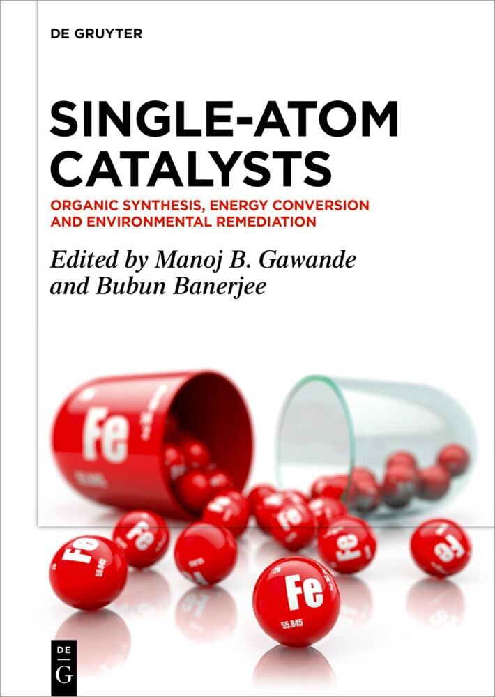 Single-Atom Catalysts