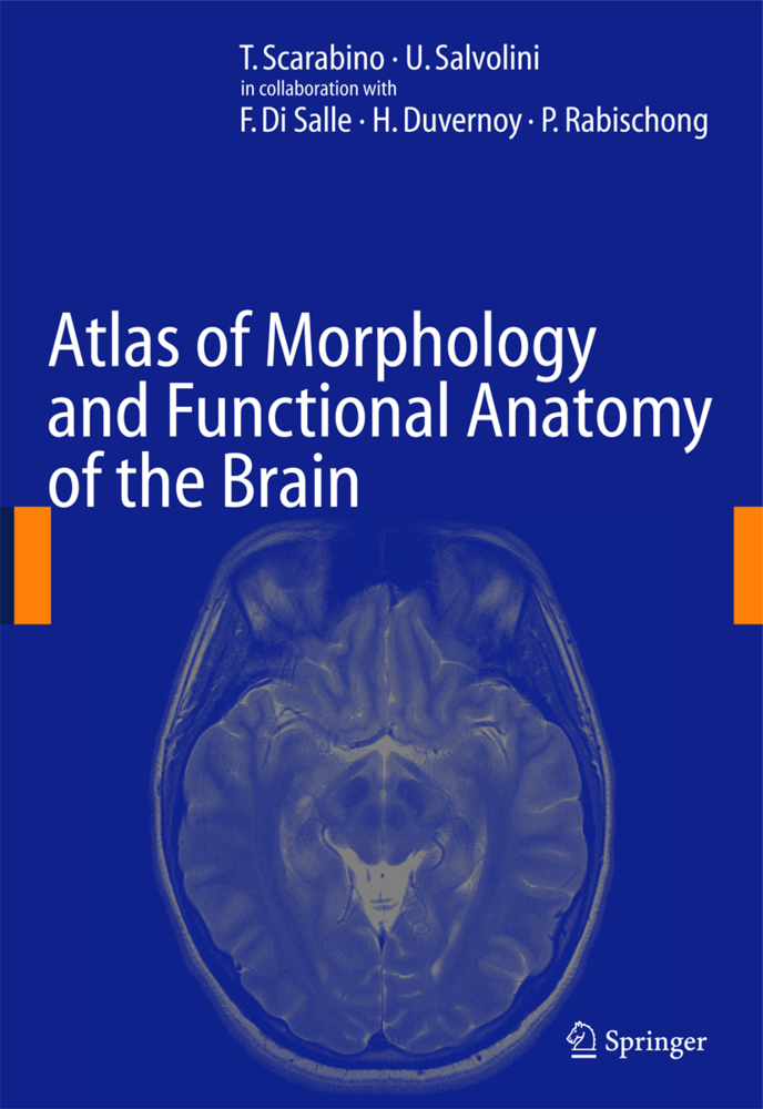 Atlas of Morphology and Functional Anatomy of the Brain