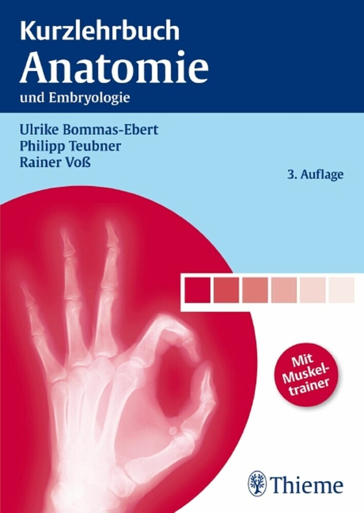 Kurzlehrbuch Anatomie