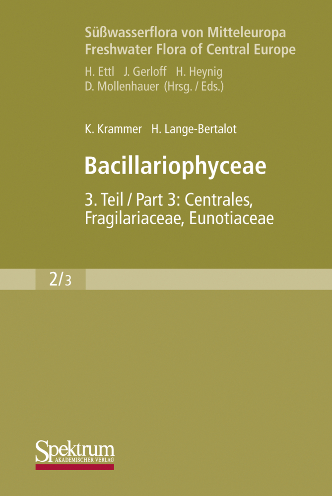 Bacillariophyceae. Tl.3
