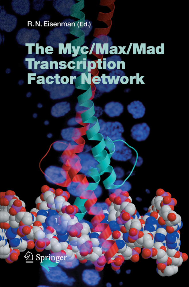 The Myc/Max/Mad Transcription Factor Network