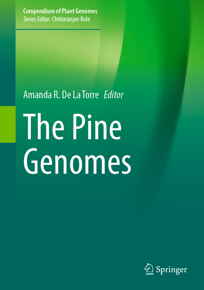 The Pine Genomes