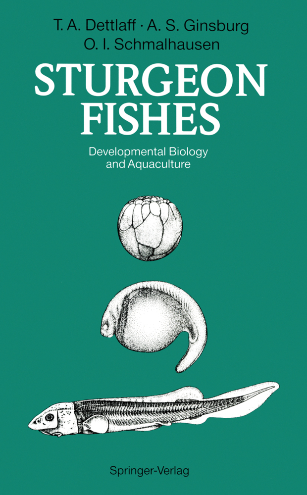 Sturgeon Fishes
