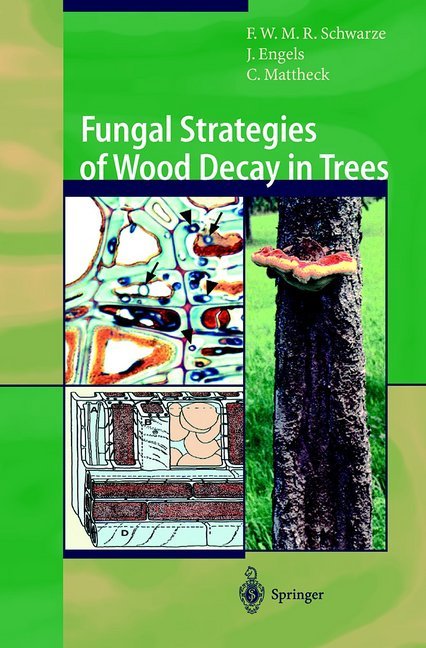 Fungal Strategies of Wood Decay in Trees