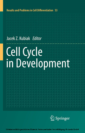Cell Cycle in Development
