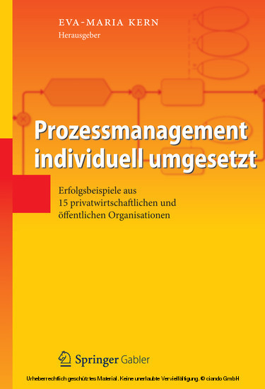 Prozessmanagement individuell umgesetzt