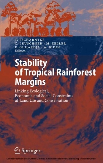 Stability of Tropical Rainforest Margins