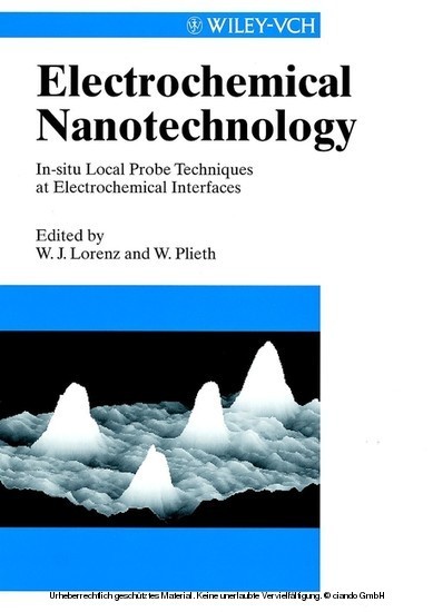 Electrochemical Nanotechnology