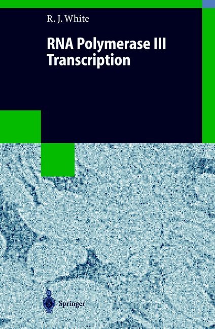 RNA Polymerase III Transcription