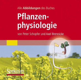Pflanzenphysiologie,1 CD-ROM