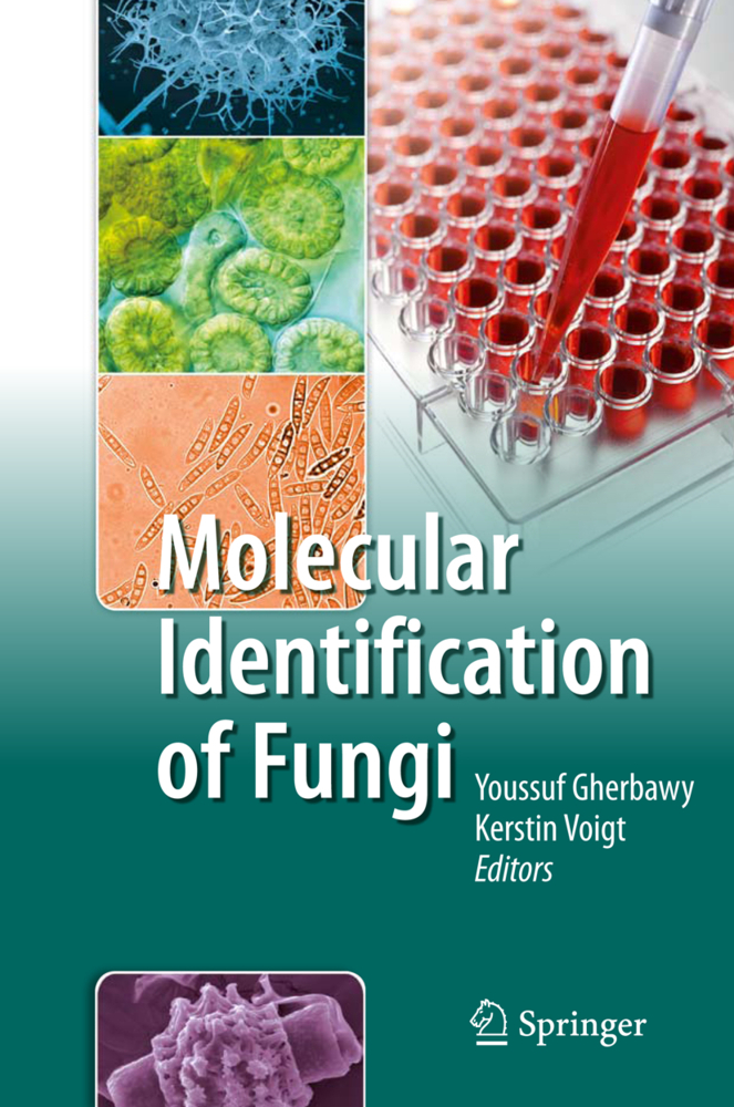 Molecular Identification of Fungi