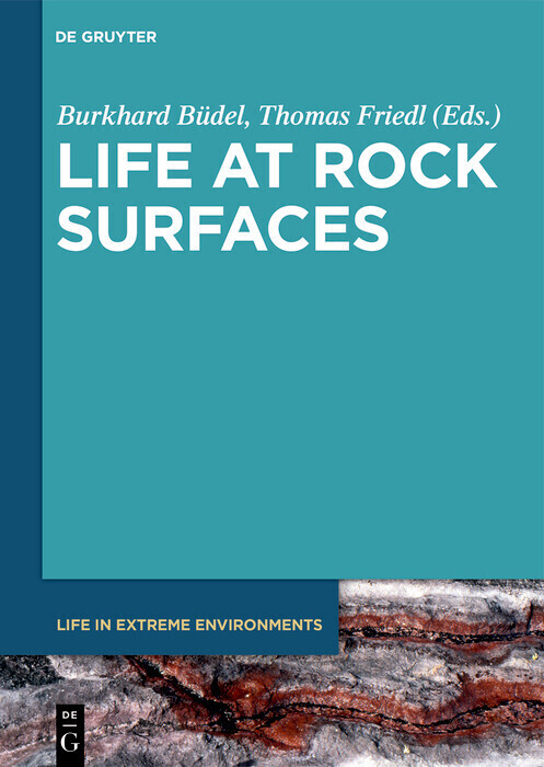 Life at Rock Surfaces