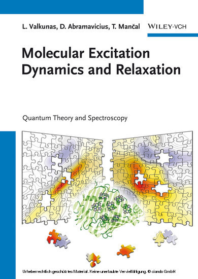 Molecular Excitation Dynamics and Relaxation