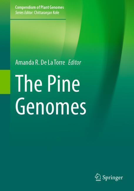 The Pine Genomes