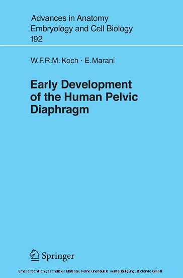 Early Development of the Human Pelvic Diaphragm