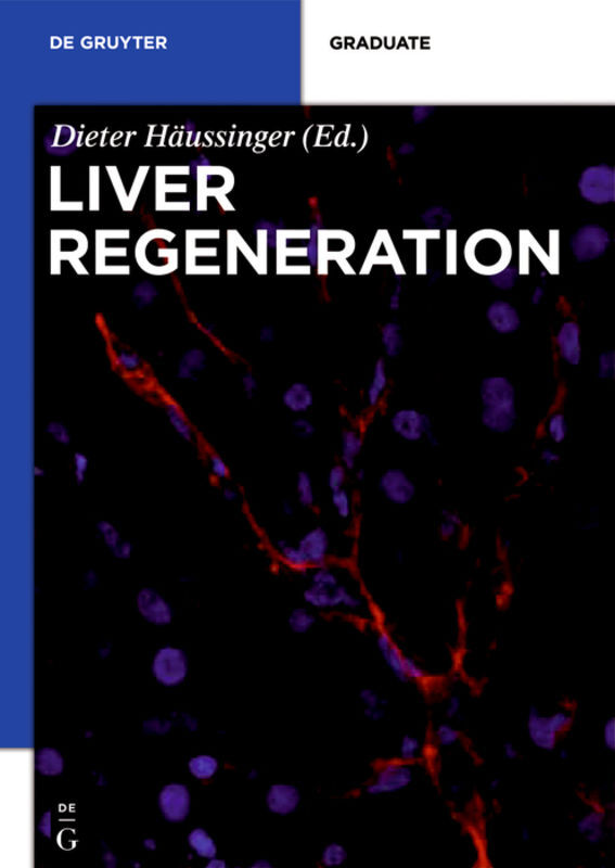 Liver Regeneration