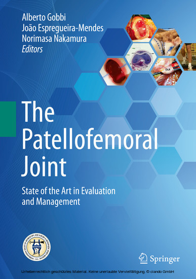 The Patellofemoral Joint