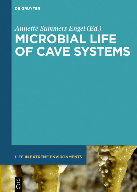 Microbial Life of Cave Systems