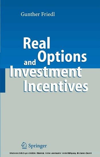 Real Options and Investment Incentives