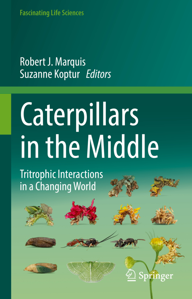Caterpillars in the Middle