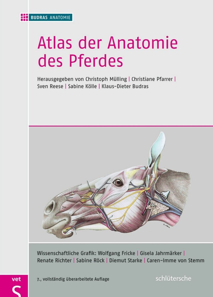 Atlas der Anatomie des Pferdes