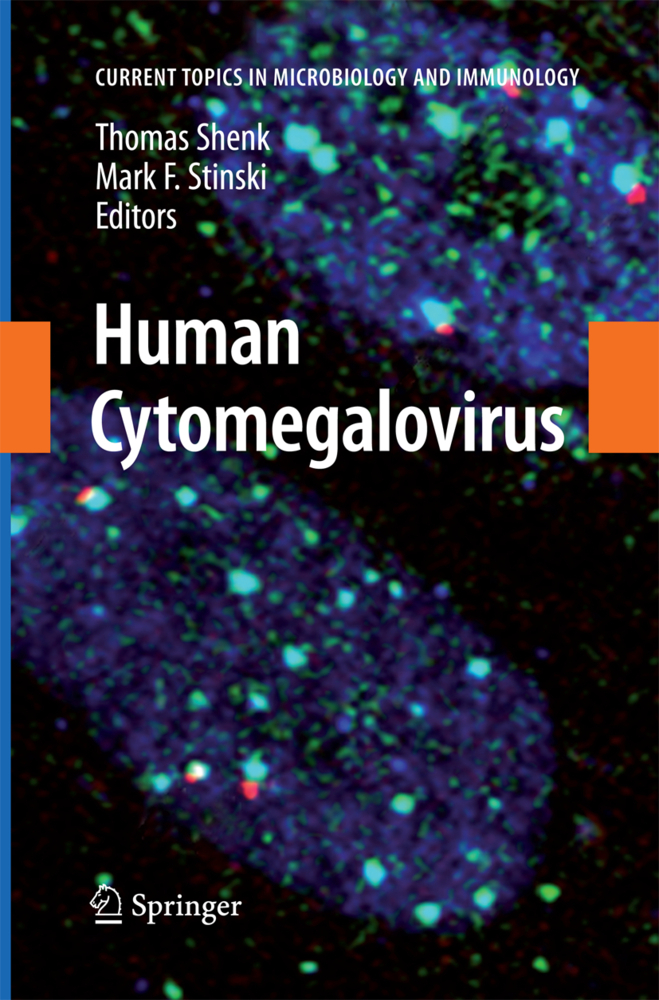 Human Cytomegalovirus