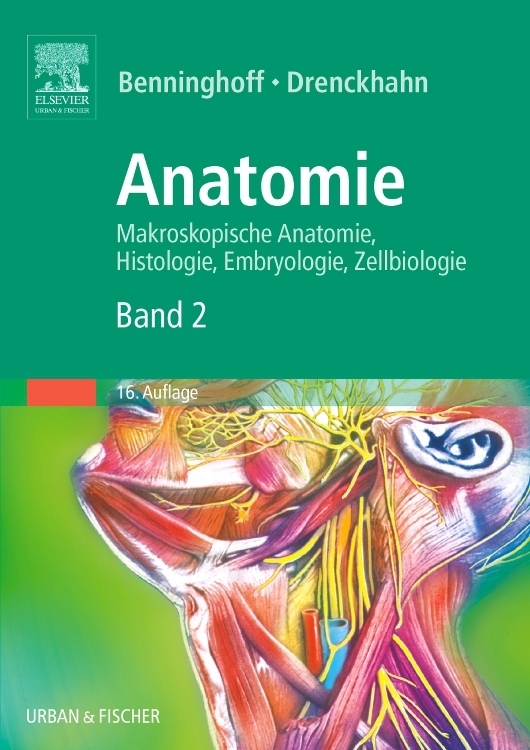 Herz-Kreislauf-System, Lymphatisches System, Endokrine Drüsen, Nervensystem, Sinnesorgane, Haut