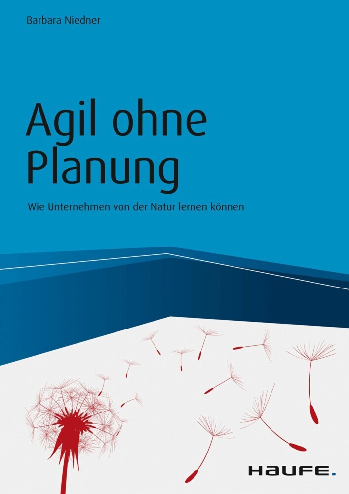 Agil ohne Planung