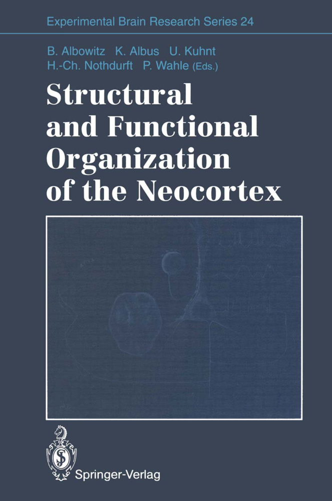 Structural and Functional Organization of the Neocortex
