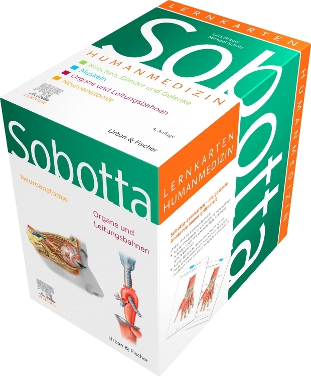 Sobotta Lernkarten Anatomie für die Humanmedizin