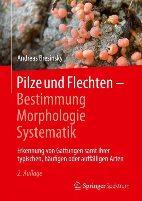 Pilze und Flechten - Bestimmung, Morphologie, Systematik