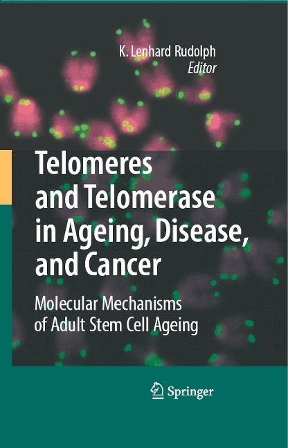 Telomeres and Telomerase in Aging, Disease, and Cancer