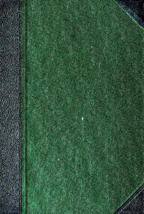 Die natürlichen Pflanzenfamilien nebst ihren Gattungen und wichtigsten Arten, insbesondere den Nutzpflanzen.