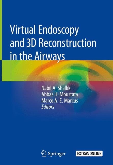 Virtual Endoscopy and 3D Reconstruction in the Airways