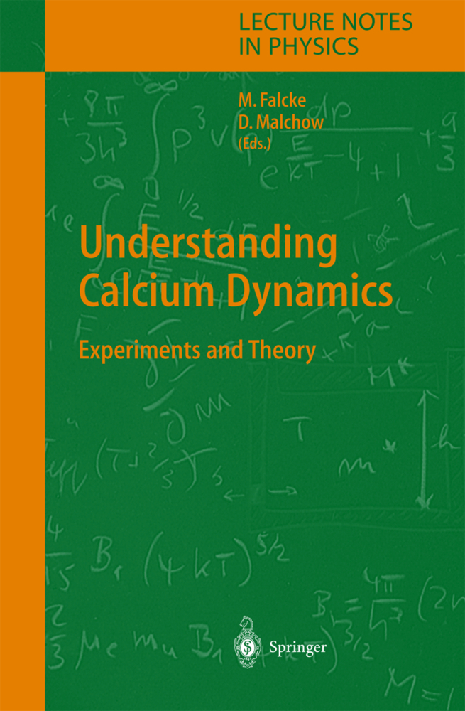 Understanding Calcium Dynamics