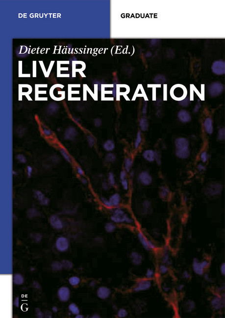 Liver Regeneration