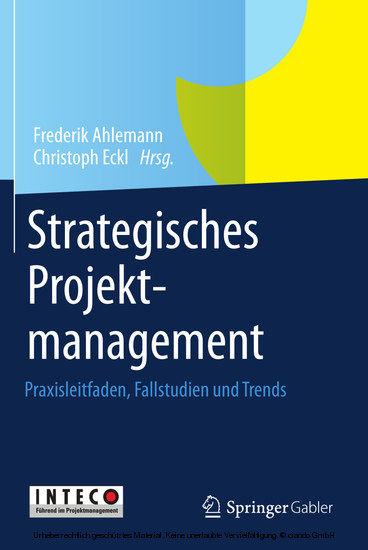 Strategisches Projektmanagement