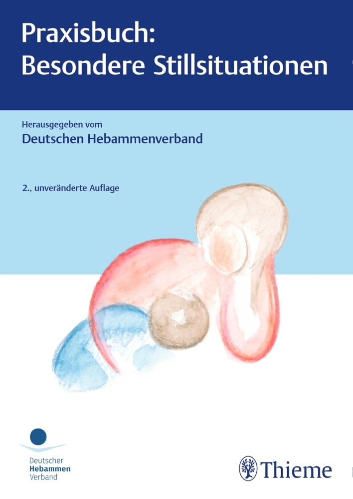 Praxisbuch: Besondere Stillsituationen