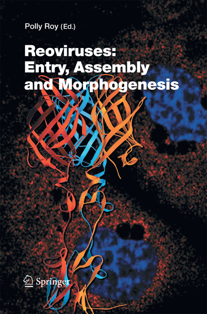 Reoviruses: Entry, Assembly and Morphogenesis