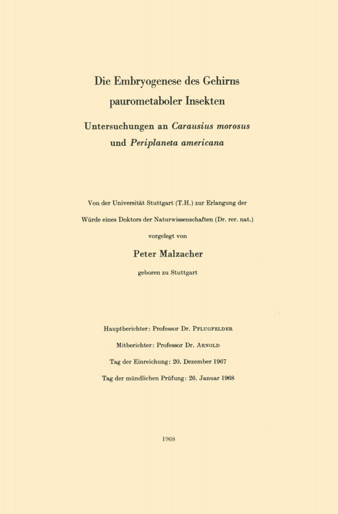 Die Embryogenese des Gehirns paurometaboler Insekten