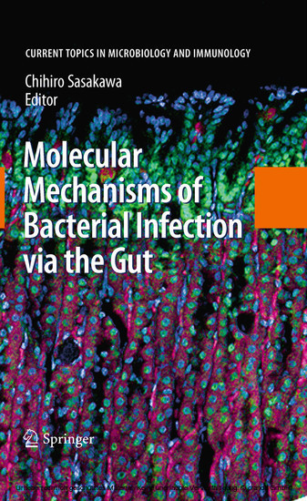 Molecular Mechanisms of Bacterial Infection via the Gut