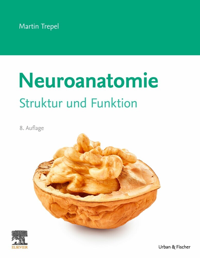 Neuroanatomie