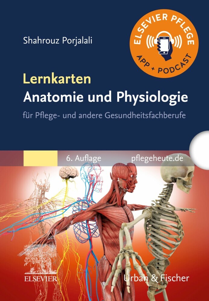 Lernkarten Anatomie und Physiologie