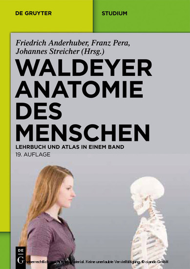 Waldeyer - Anatomie des Menschen