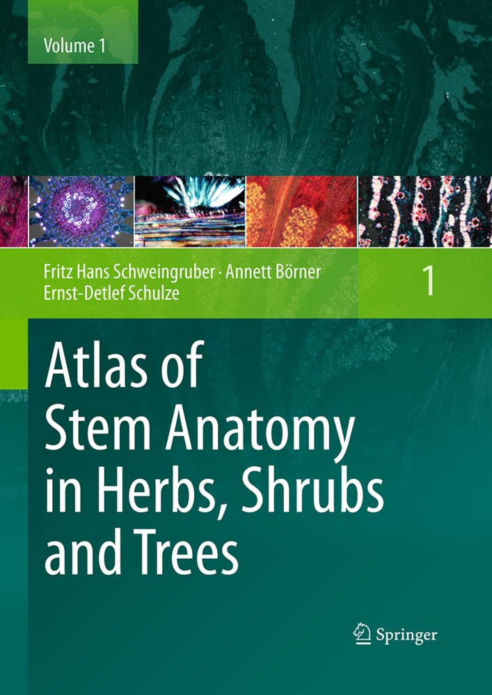 Atlas of Stem Anatomy in Herbs, Shrubs and Trees